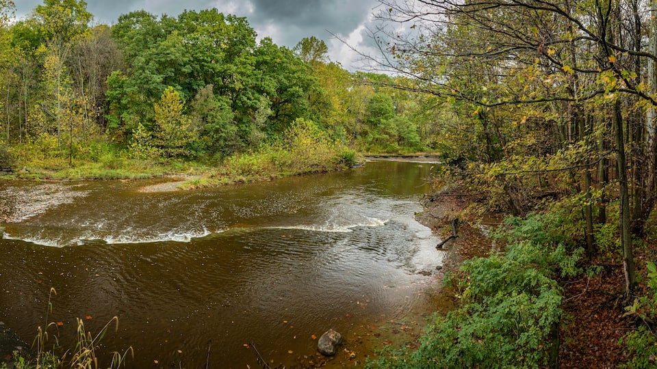 A river flowing through a forest with dense trees and a rocky riverbank.