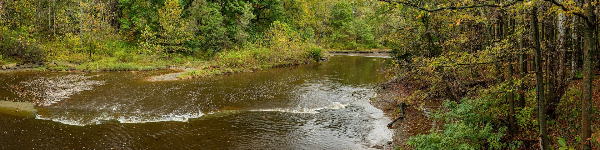 A river flowing through a forest with dense trees and a rocky riverbank.