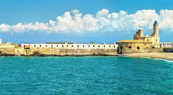 ดาร์เอัลไบดา