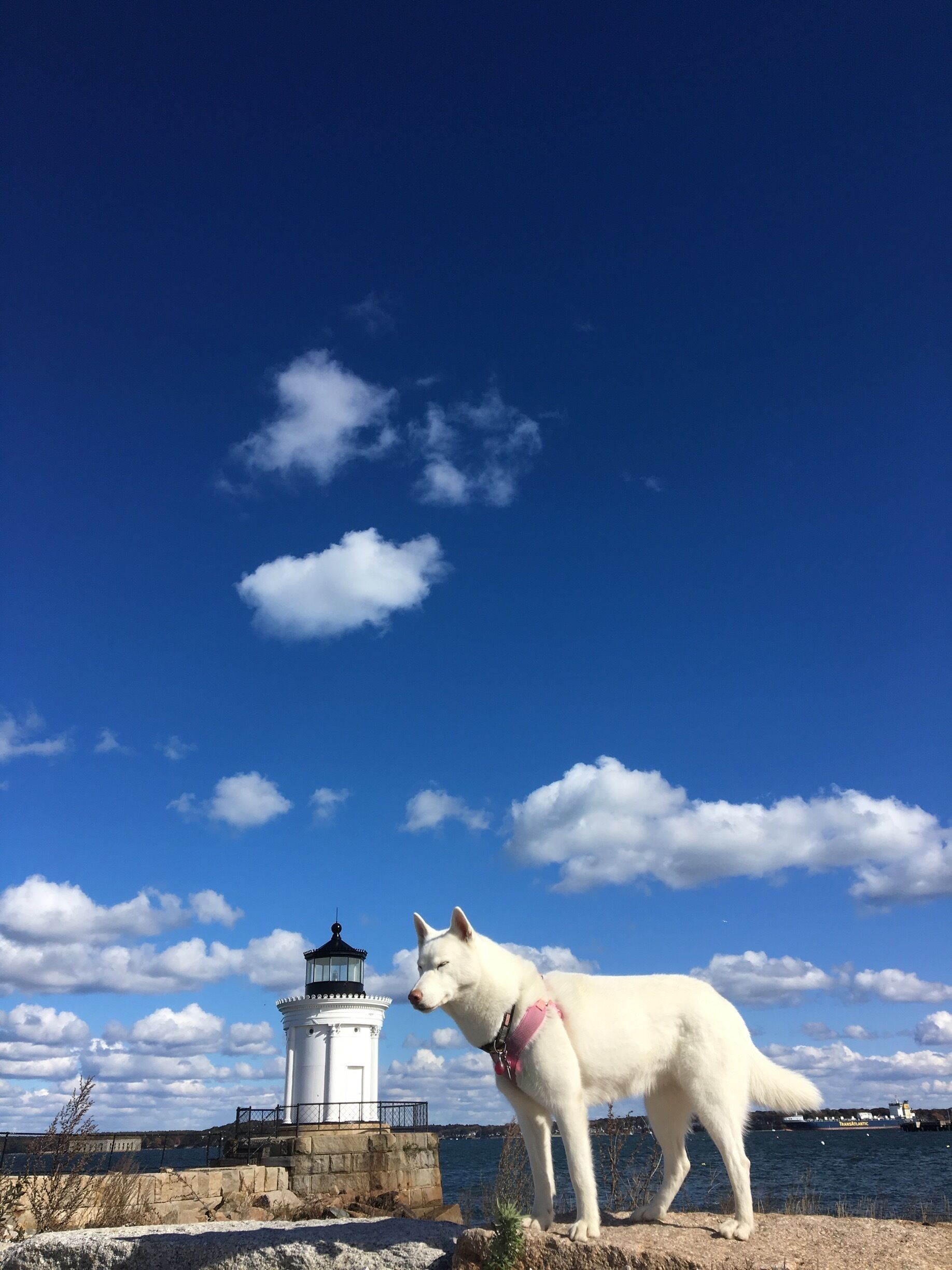 The tiniest lighthouse #autumn  #fall #roadtrip #travel #adventure #colorful  #vermont 