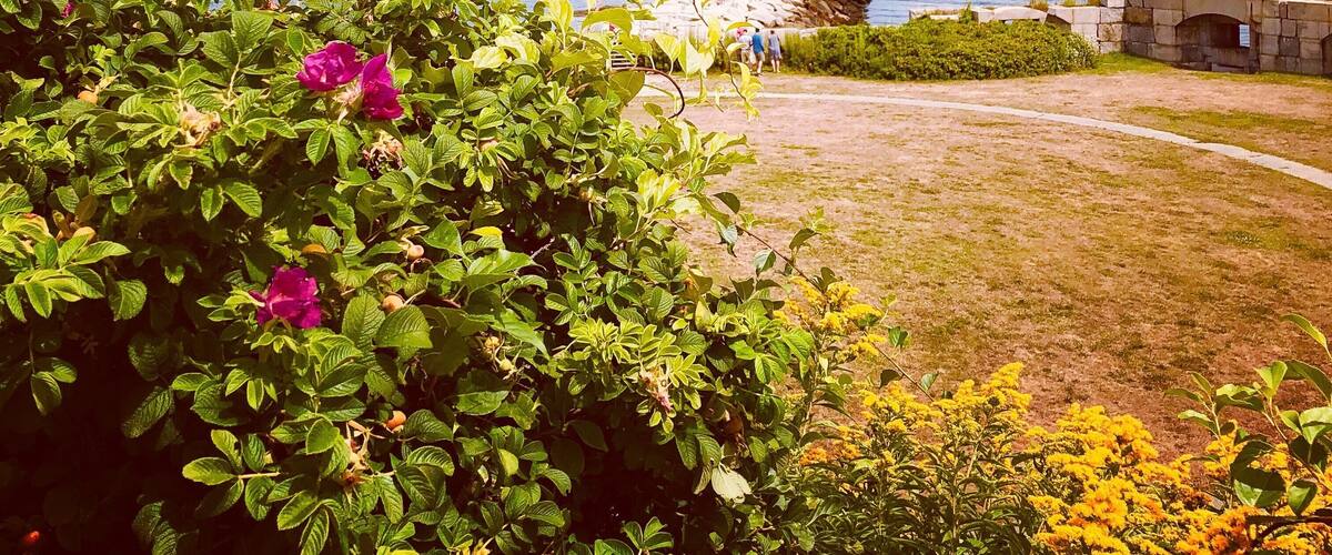 Walk along the path for great views of the lighthouse, then head to Willard Beach.