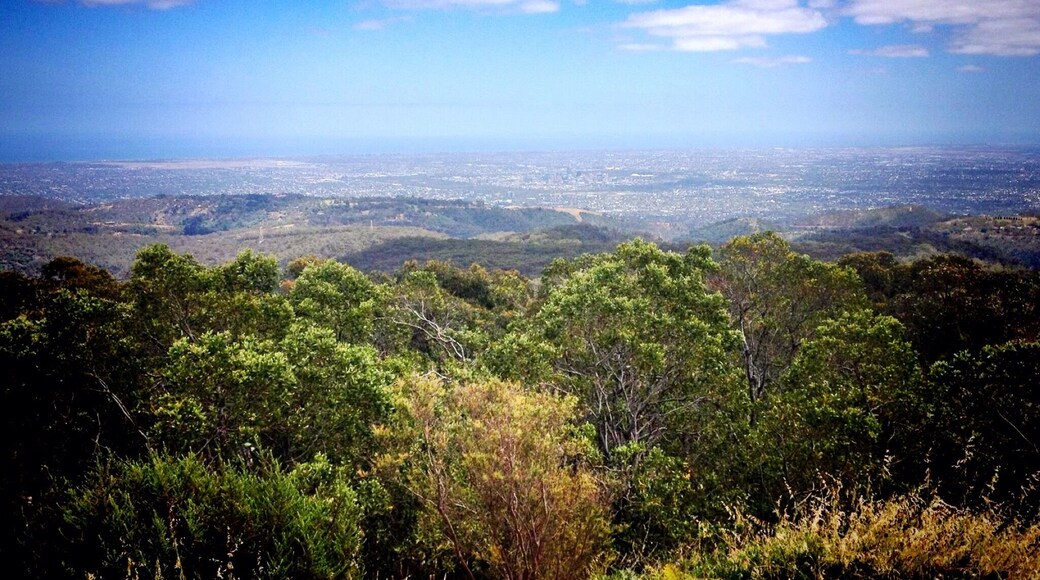 View of Adelaide
#Australia