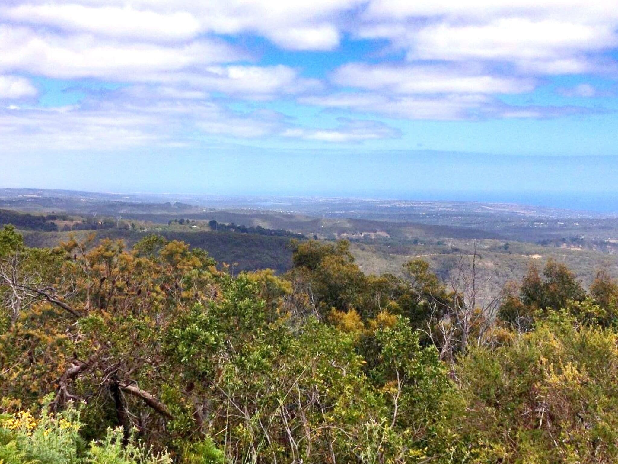 Views of Adelaide from the Mount Lofty Lookout, South Australia 
#Australia #NationalPark