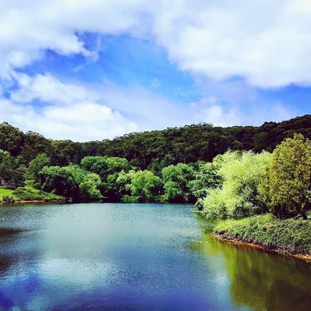 Botanic Gardens at Mount Lofty 