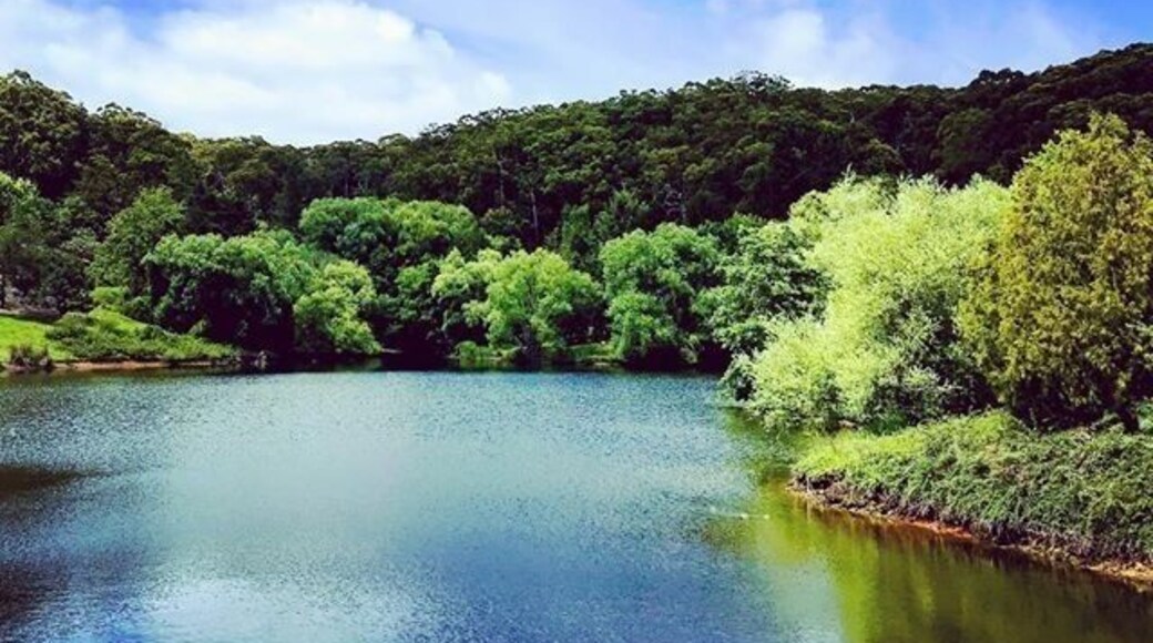Botanic Gardens at Mount Lofty