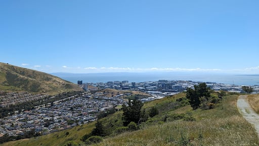 Suburbia and Buildings in South San Francisco