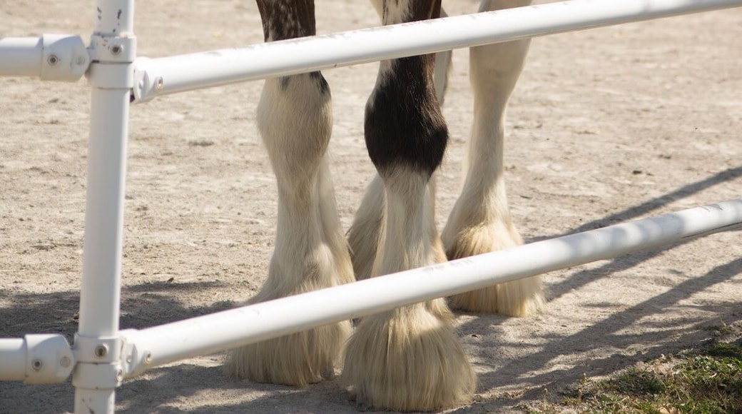 Nice place to visit.