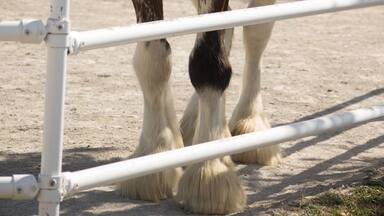 Nice place to visit.