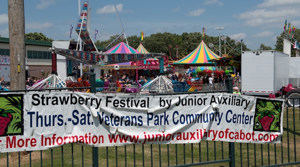 Cabot que incluye un festival y también un gran grupo de personas
