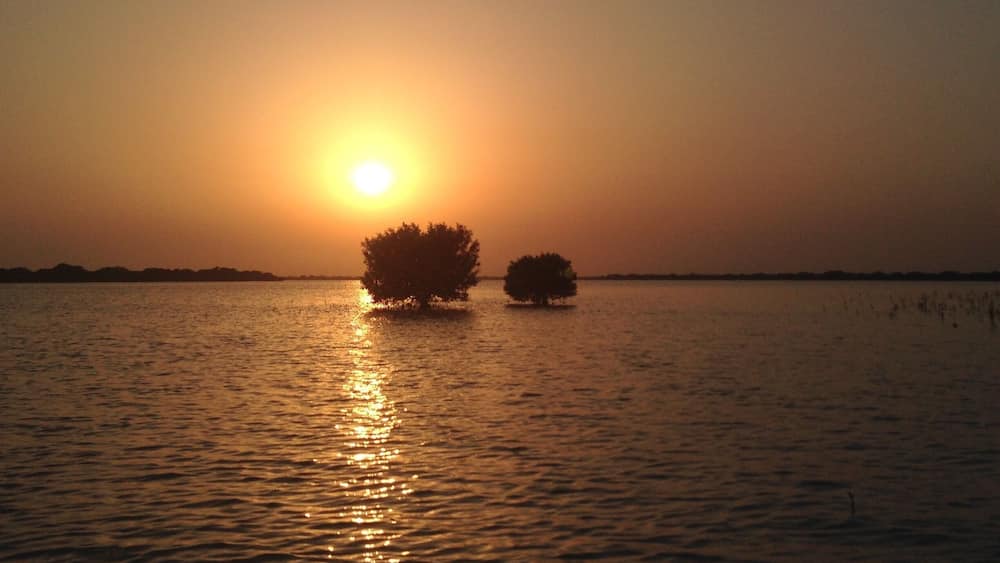 The sunsets are not vivid in Qatar. They tend to be pale peach tones and the sun sets quickly within minutes. This day the sun was huge and set behind some mangroves and reflected on the sea water in front of my kayak. #Travel #Qatar #PersianGulf #Mangroves