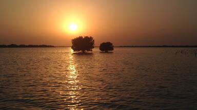 The sunsets are not vivid in Qatar. They tend to be pale peach tones and the sun sets quickly within minutes. This day the sun was huge and set behind some mangroves and reflected on the sea water in front of my kayak. #Travel #Qatar #PersianGulf #Mangroves