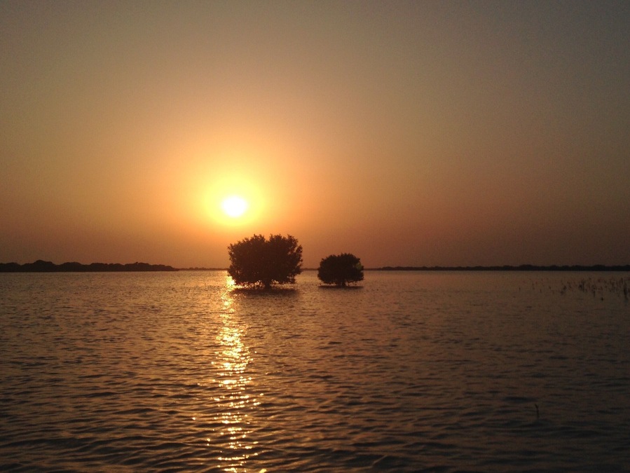 The sunsets are not vivid in Qatar. They tend to be pale peach tones and the sun sets quickly within minutes. This day the sun was huge and set behind some mangroves and reflected on the sea water in front of my kayak. #Travel #Qatar #PersianGulf #Mangroves