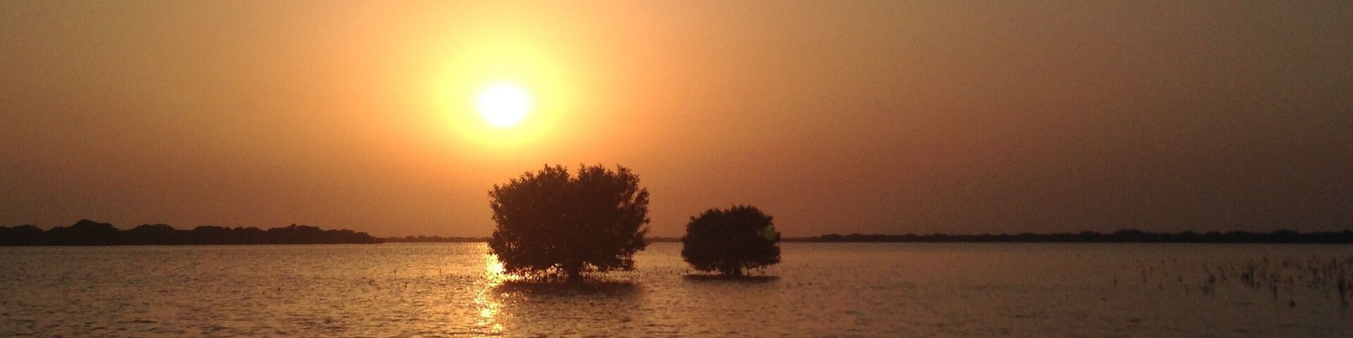The sunsets are not vivid in Qatar. They tend to be pale peach tones and the sun sets quickly within minutes. This day the sun was huge and set behind some mangroves and reflected on the sea water in front of my kayak. #Travel #Qatar #PersianGulf #Mangroves