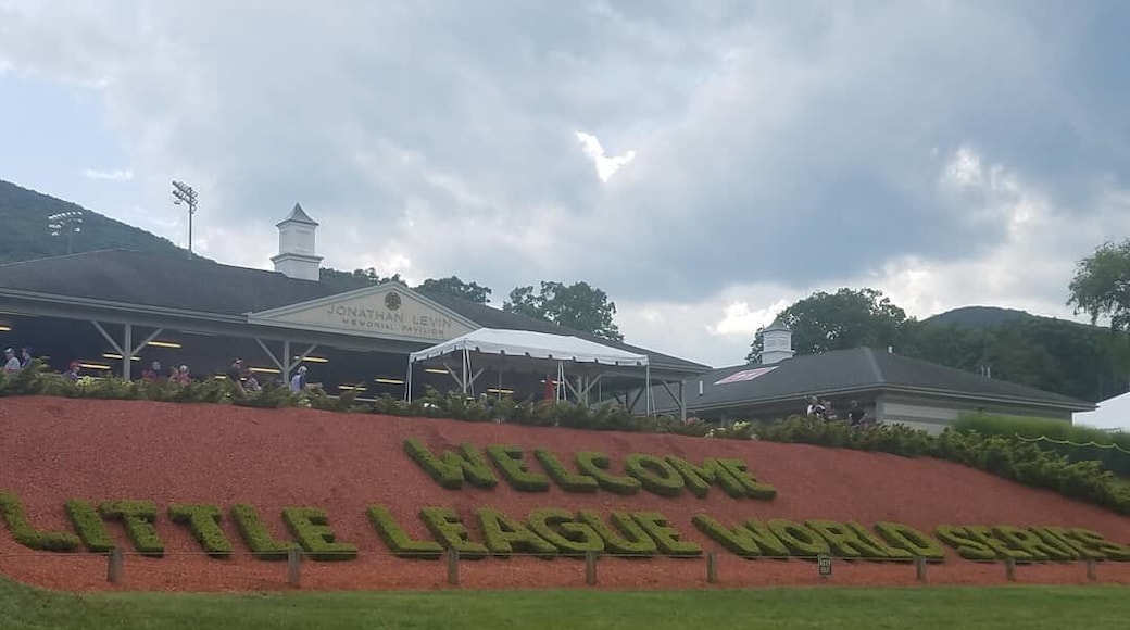 What a great experience to visit here during the Little League World Series! Fun for all ages.