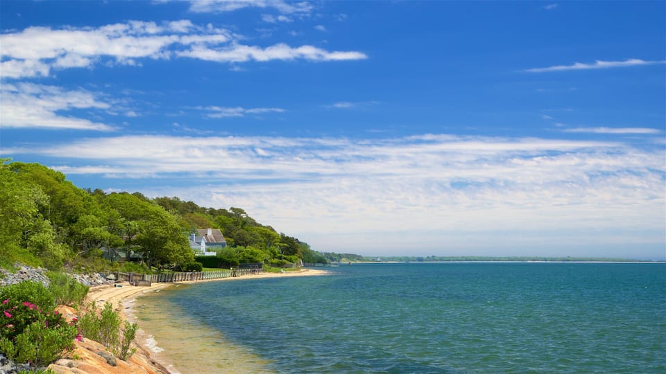 A coastal landscape with a sandy beach, a wooden pier, and a house on a hill.