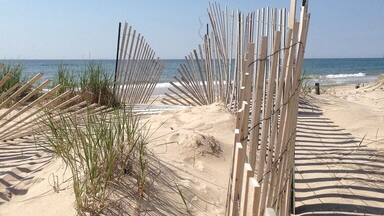 A sandy beach with wooden barriers and sparse vegetation.