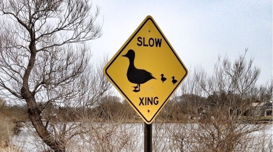 Beautiful off-season in Southampton