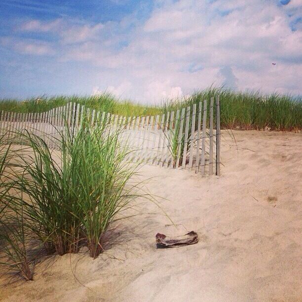 Beautiful Cooper's Beach