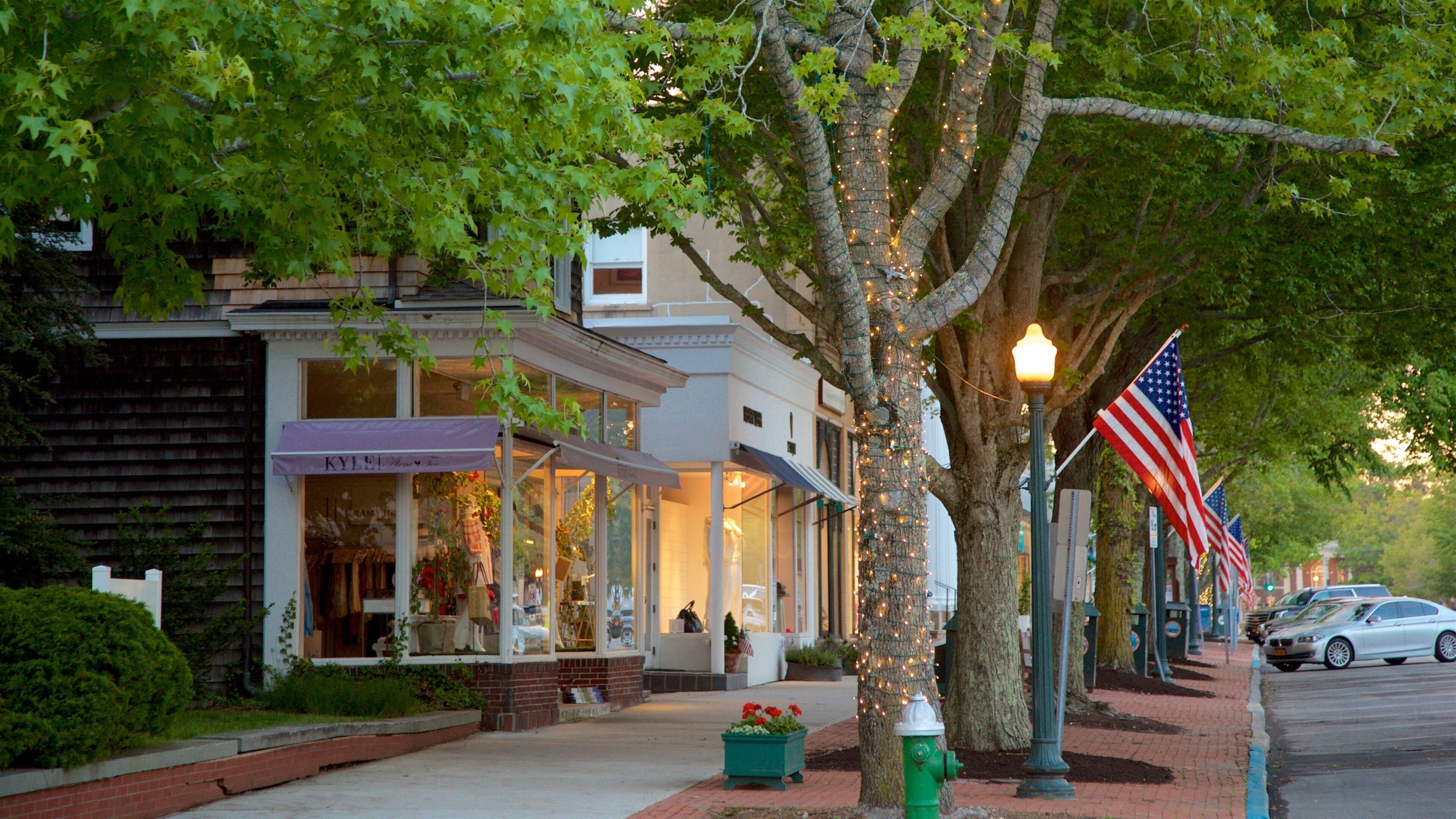 A tree-lined street with storefronts, an American flag, and a green fire hydrant.