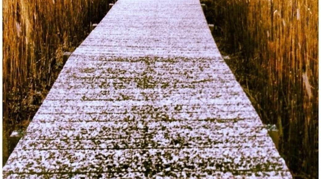 Dock on a snowy day ..