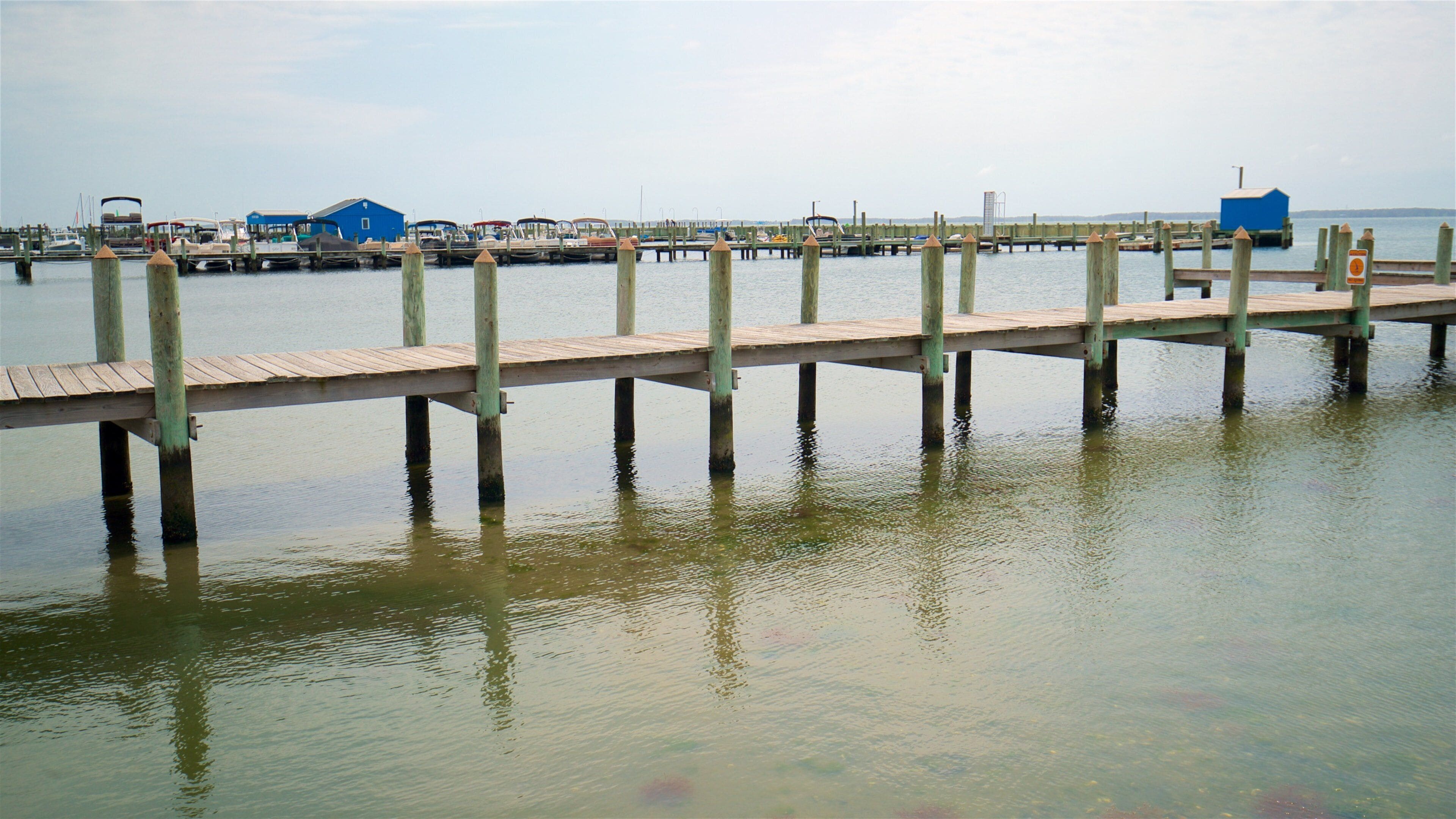 Dewey Beach