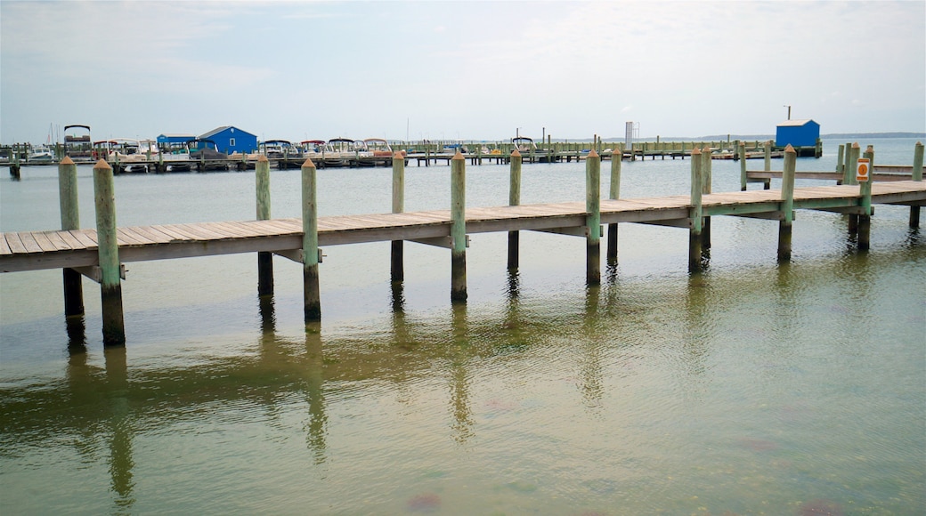 Dewey Beach