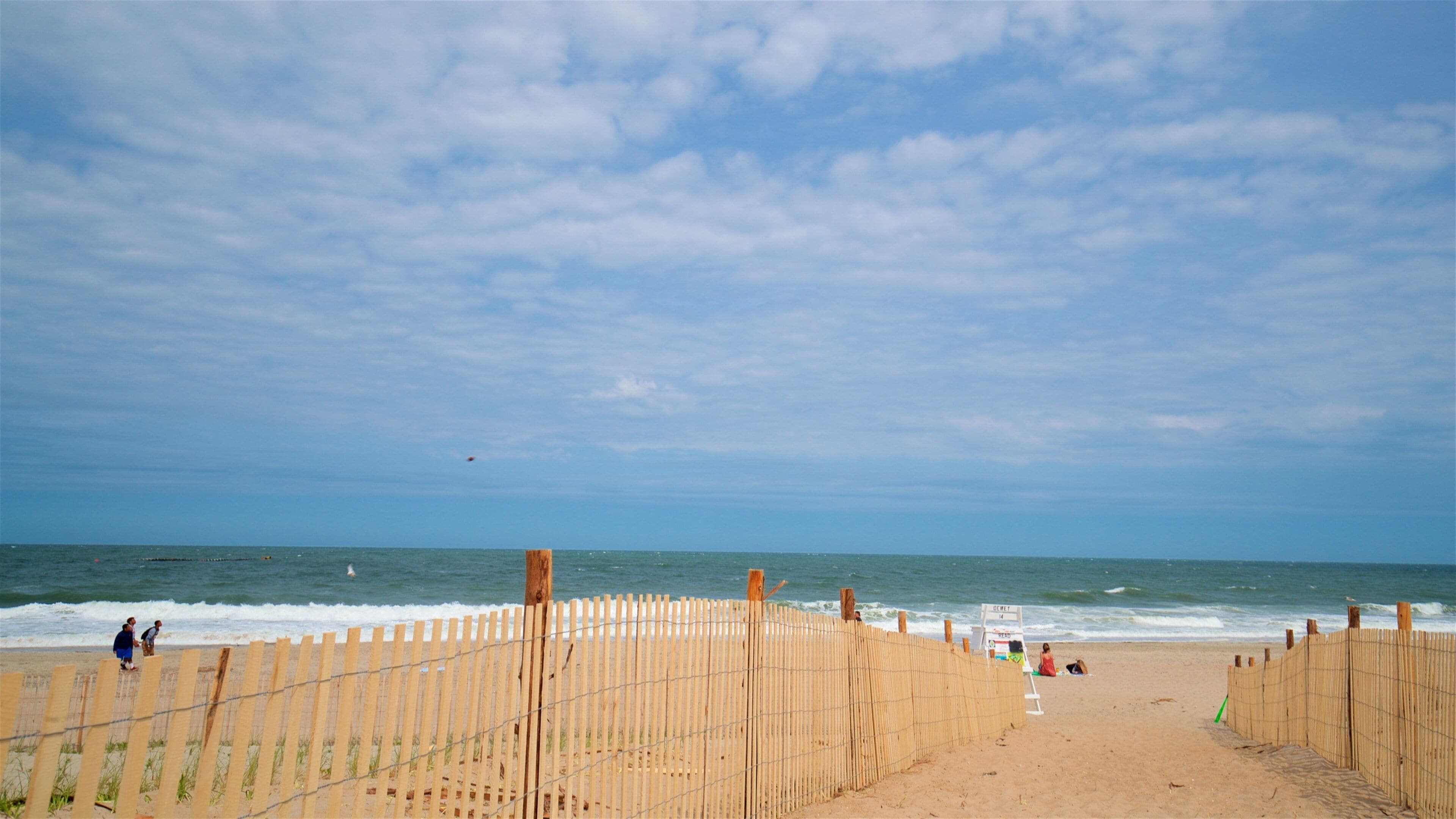 Dewey Beach showing general coastal views and a beach