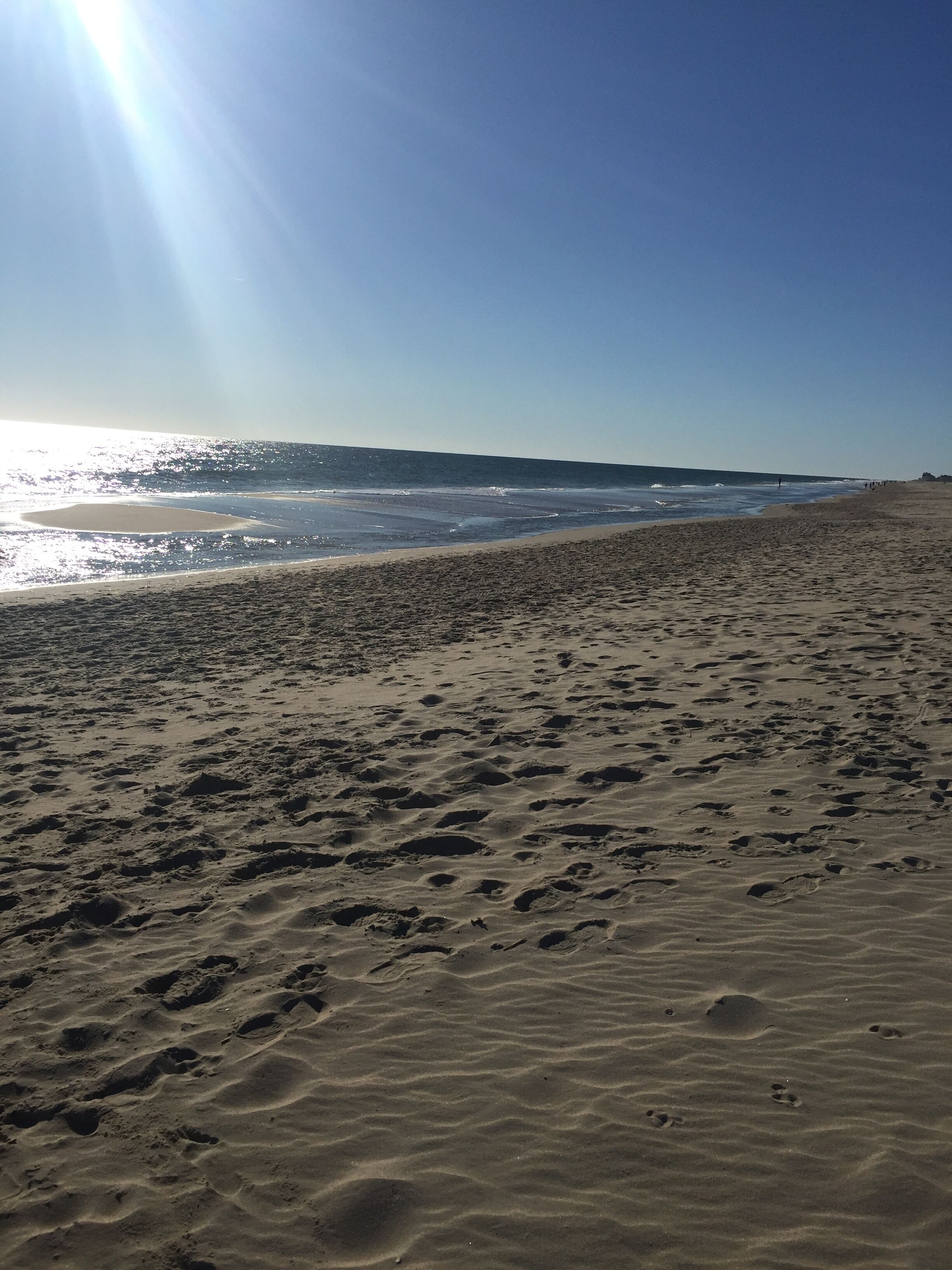 We love staying at the Delaware beaches in the fall.  The weather is perfect and the crowds are gone after the summer season.  

You can surf fish on the beach and dogs are welcome, so everyone can have a great time.