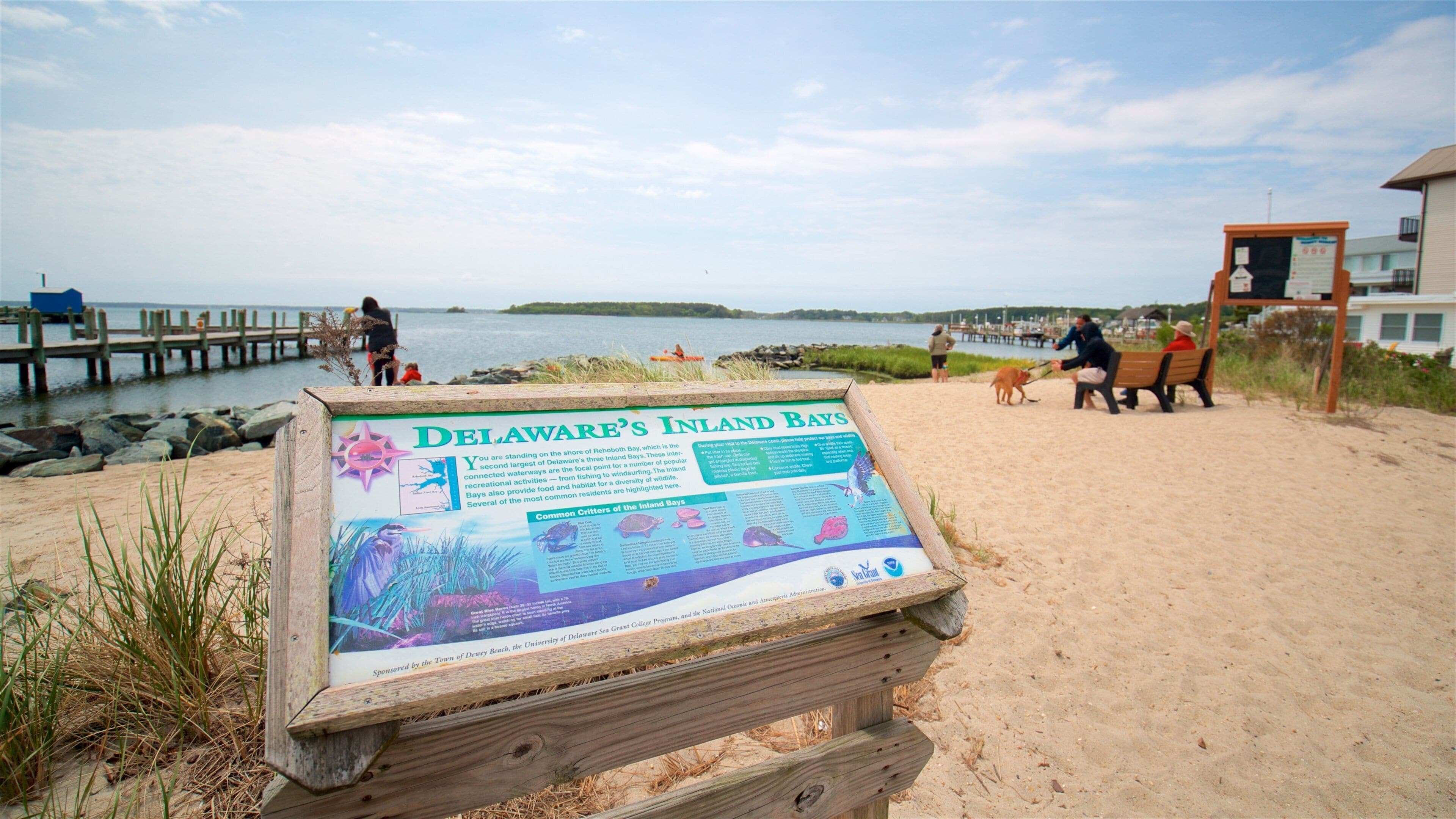 Dewey Beach which includes general coastal views, a beach and signage