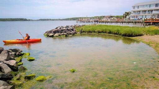 Dewey Beach which includes kayaking or canoeing and general coastal views as well as an individual child