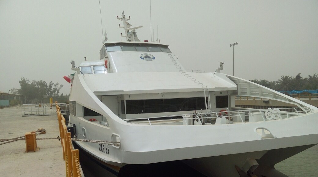 Ú©ŰŽŰȘÛ Ú©Ű§ŰȘۧÙ
Ù۱ۧÙ