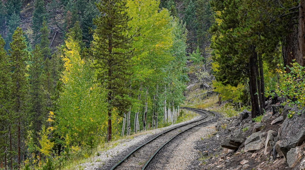 narrow guage railroad tracks and aspen trees on the Georgetown Loop Railroad line in Georgetown Colorado
