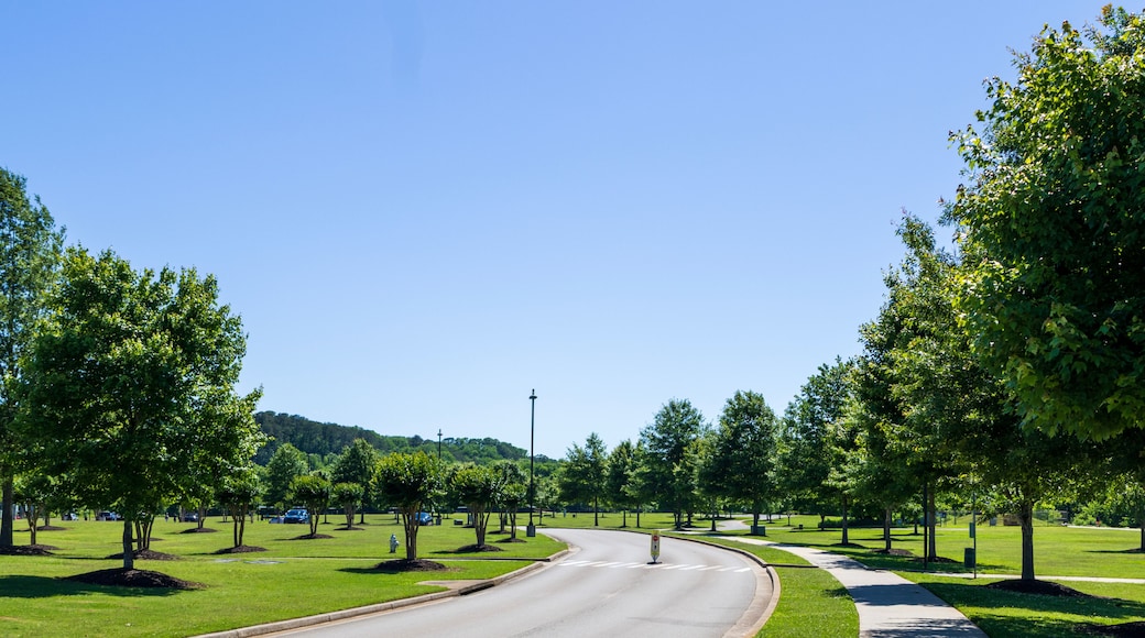 A long winding road in a gorgeous landscape at Etowah River Park with lush green trees and grass in Canton Georgia USA