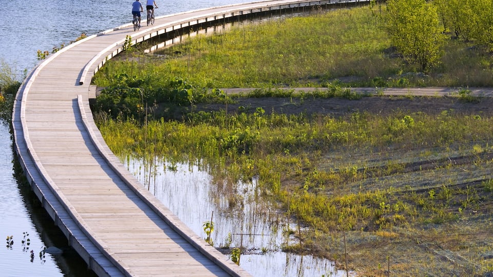 A wooden boardwalk curving through a wetland area with two people cycling.
