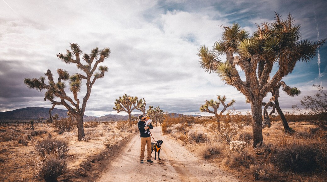 A man with a baby and a dog is standing in a desert of California