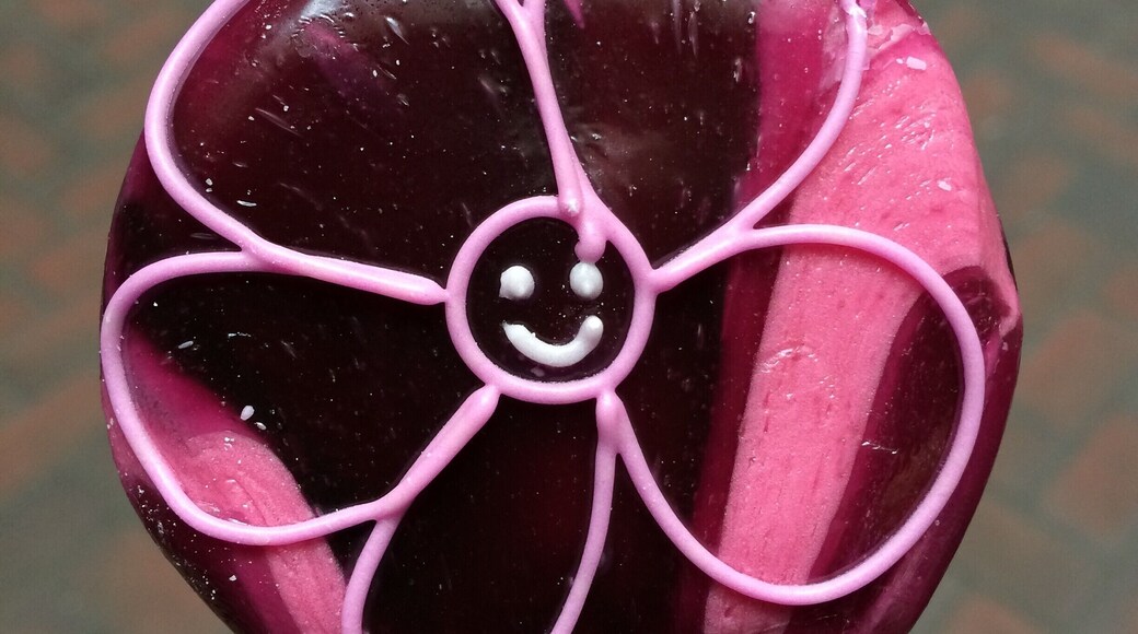 I got this cute lollipop from the bonbon factory. It's in a touristy section of Bremen. I think the flavor of the lollipop was Cherry Blossom.
2018-Apr-11