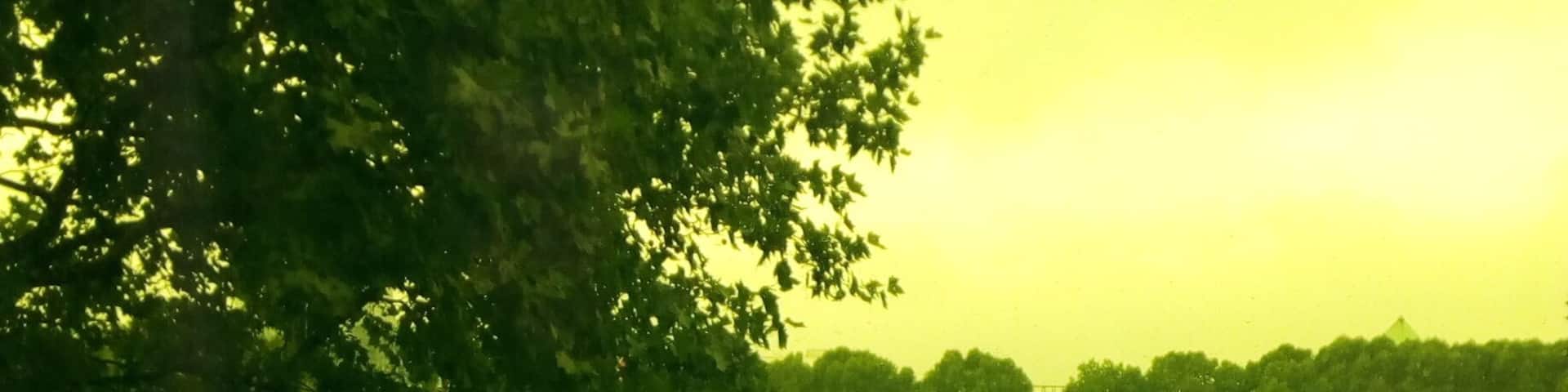 View from Designhotel Überfluss to River Weser.