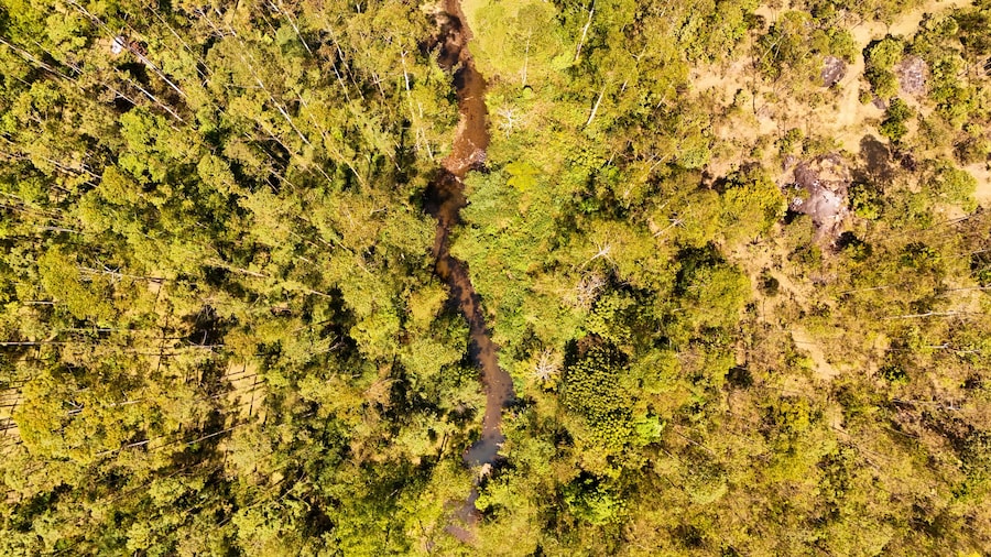 Breathtaking top view Via Drone View of Silent Valley National Park, Kerala with river and trees