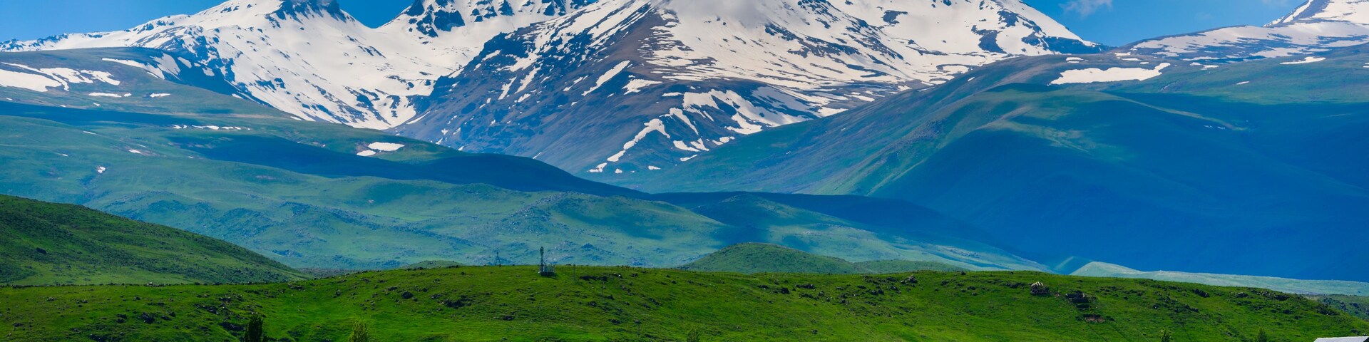 Cordillera nevada, valle verde con casas dispersas y un campo de flores amarillas.