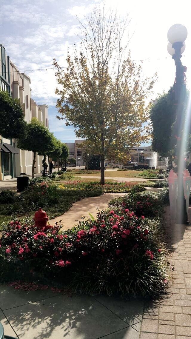 This is a beautiful shopping area. Sadly, I visited during Christmas Day and everything but the movie theater was closed. Otherwise, it seems like the perfect place to spend a whole day shopping. 