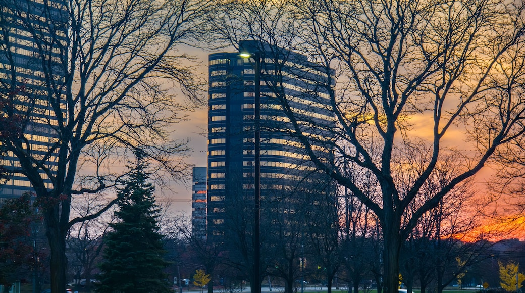 Southfield City Centre gold skyscrapers downtown Southfield skyline at sunset through the trees on the front lawn at the Southfield Municipal Campus at sunset