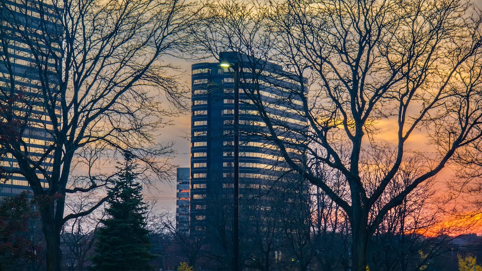 A cityscape with tall buildings, a sunset, and a park with trees.