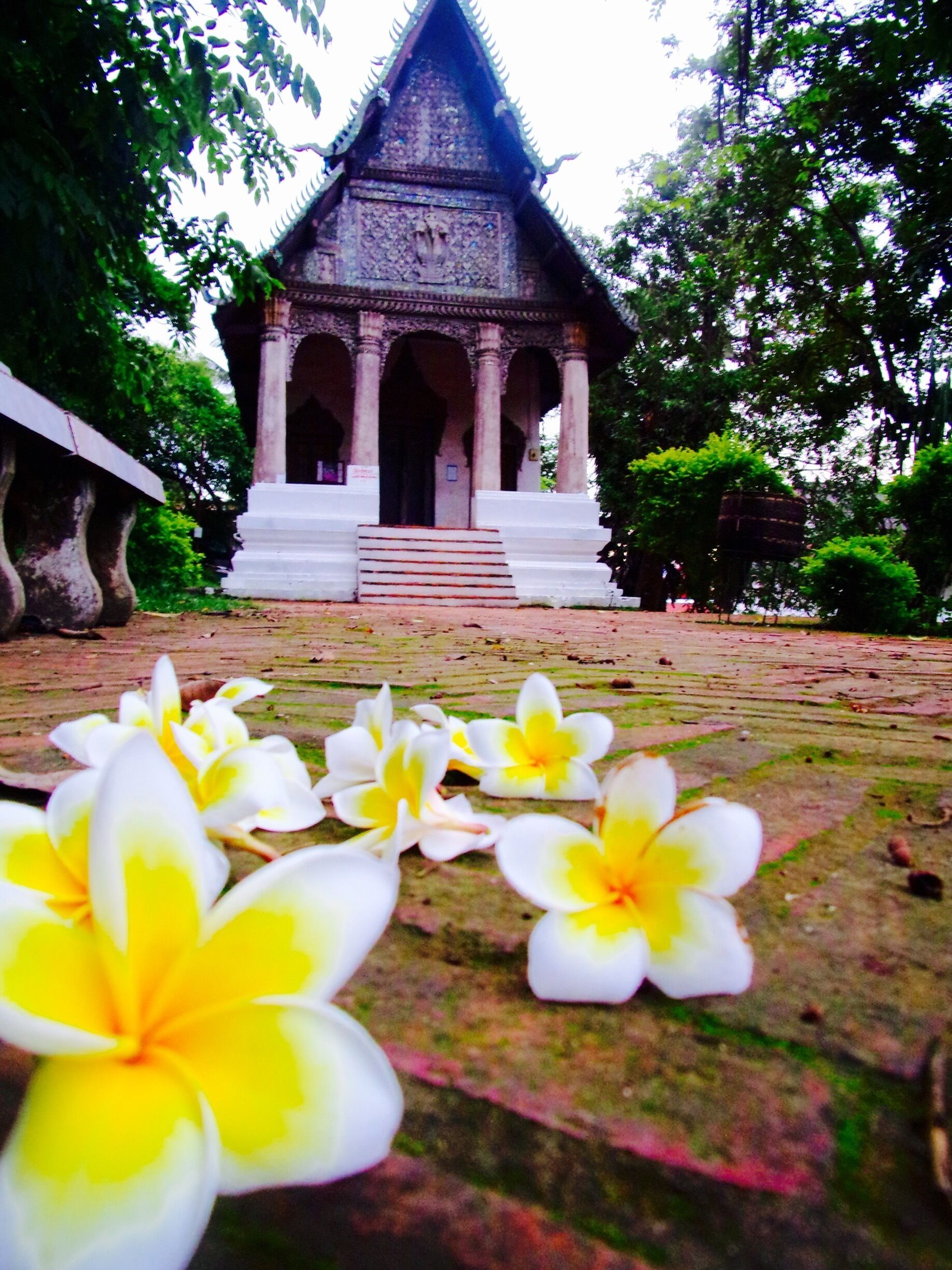 Tiny temple off the Luangprabang market street 