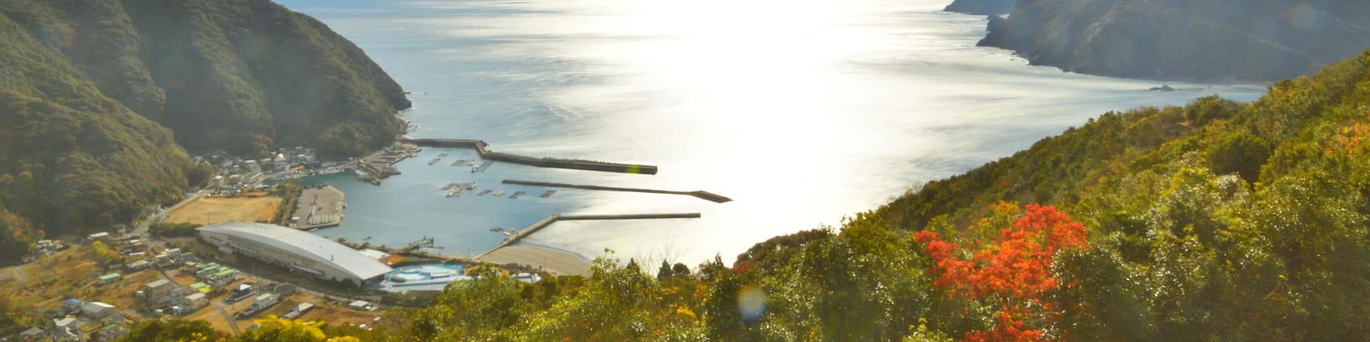 Autumn landscape in Japan. Autumn scenery in the countryside along the coast of Kyushu.
