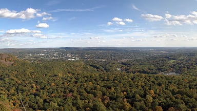 New England Panorama