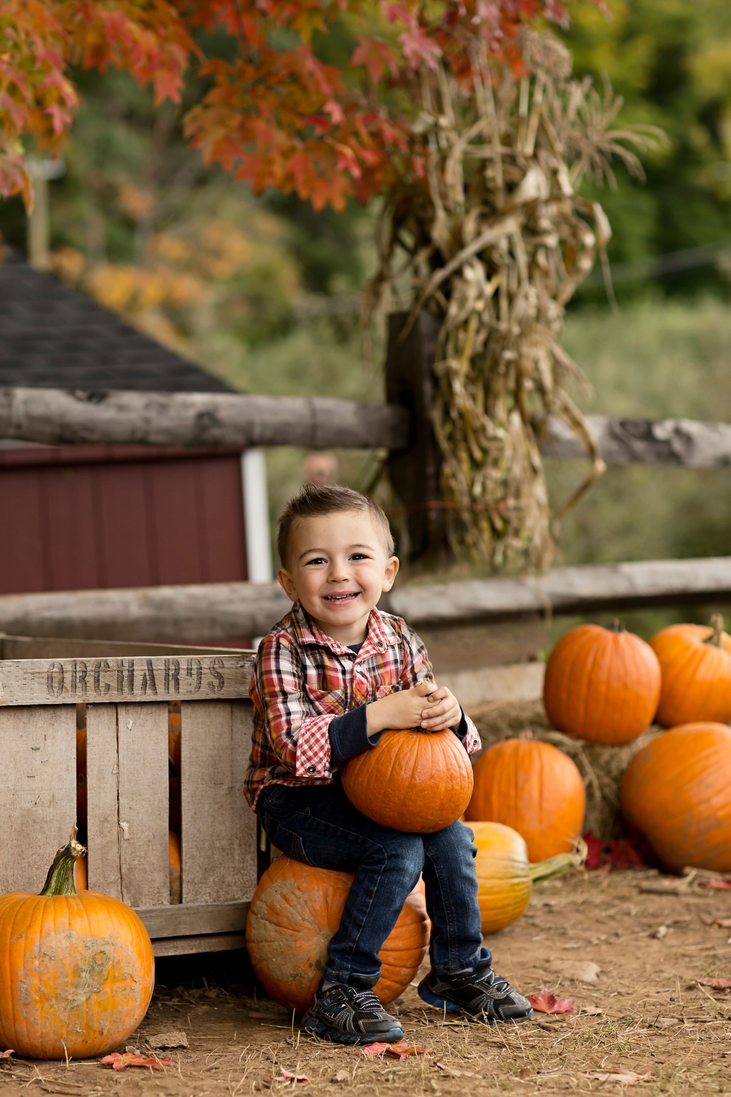 Cute little boy smiling and holiding pumpkin at pumpkin patch