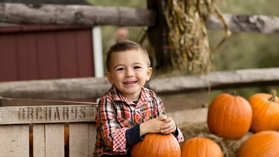 A child sitting on a wooden bench with pumpkins and autumn leaves around.