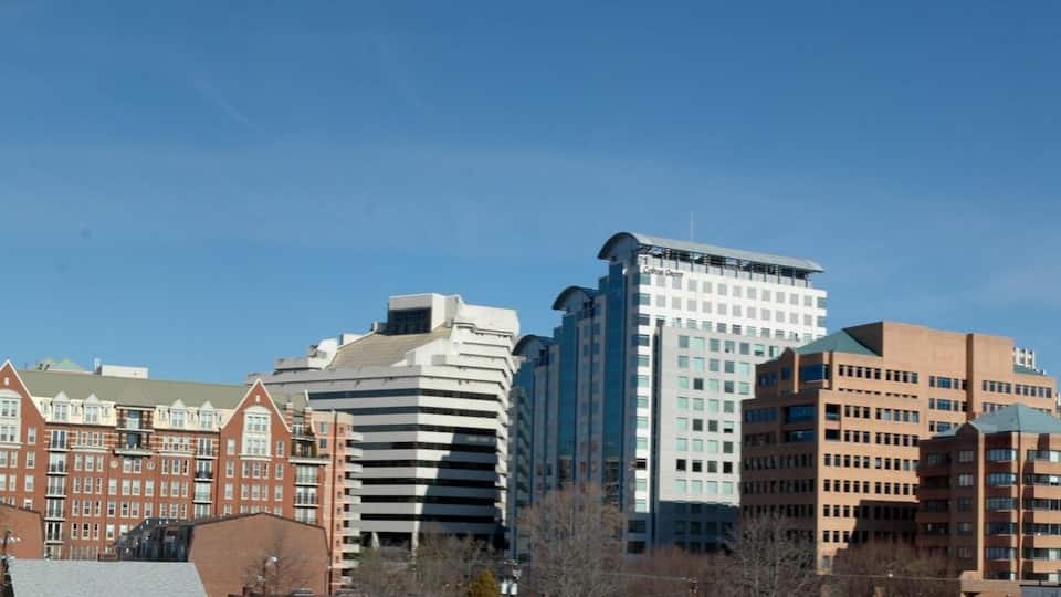 A city skyline with various modern and traditional buildings, including a distinctive curved building and several high-rise structures.
