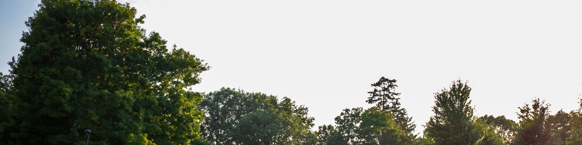 Green trees and pond with reflective surface. Pedestrian bridge over clear smooth pond. Central College campus in Pella, Iowa.