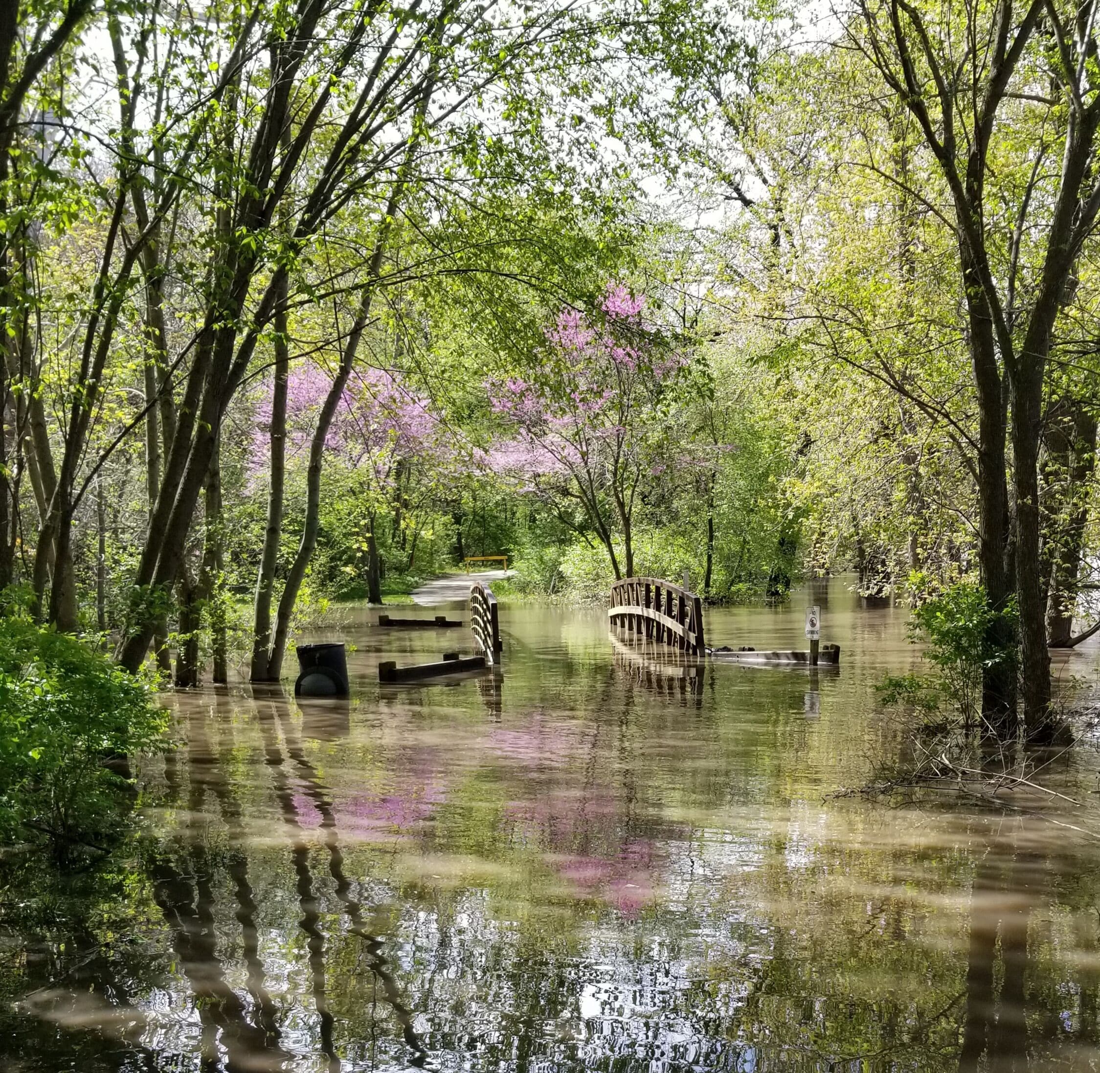 The path was flooded over, however I still enjoyed the scenery on my run.